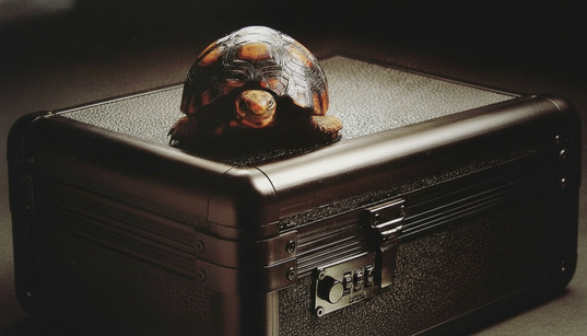 Malas de proteção personalizadas com espuma e equipamento